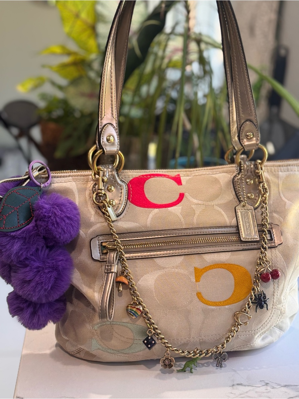 Coach Beige Signature Tote with Embroidery Accents +Grapes 💎